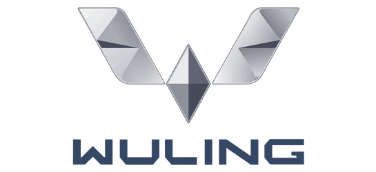 首页|尊龙集团中国官方网站